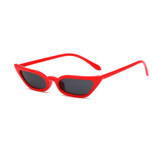 Sunglasses for Women Cheap Cat Eye AC Lenses Plastic Frame Sunglasses UV400 Stock Sunglasses